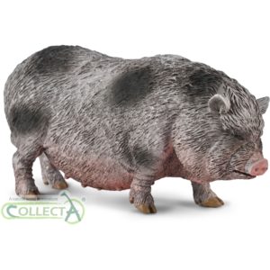 CollectA Γουρούνι Ποτ-μπέλιντ (80067)