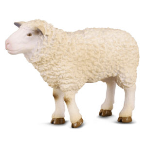 CollectA Πρόβατο (88008)