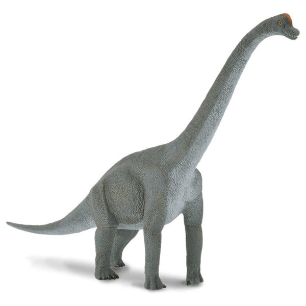 Βραχιόσαυρος