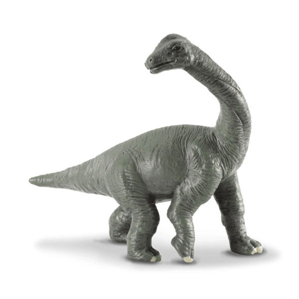 Βραχιόσαυρος Μωρό