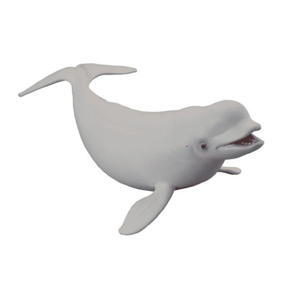 Φάλαινα Μπελούγκα