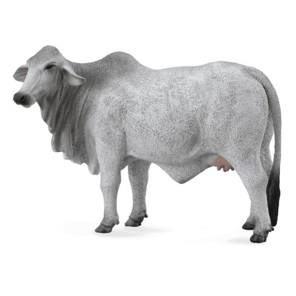 Αγελάδα Μπράμαν
