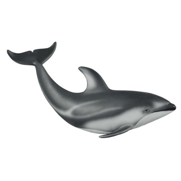 Λευκόπλευρο Δελφίνι του Ειρηνικού