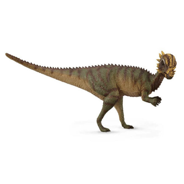 Παχυκεφαλόσαυρος