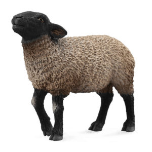 CollectA Πρόβατο Σάφολκ (88636)
