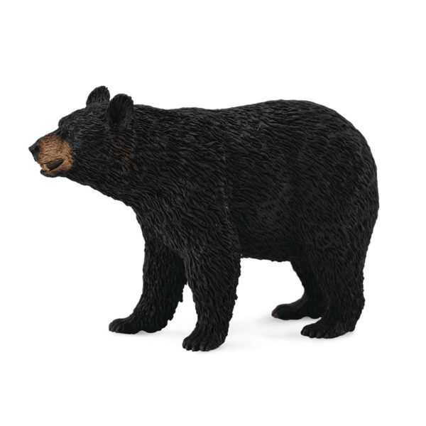 Μαύρη Αρκούδα