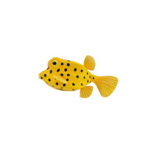 CollectA Κίτρινο Ψάρι Κουτί (88788)
