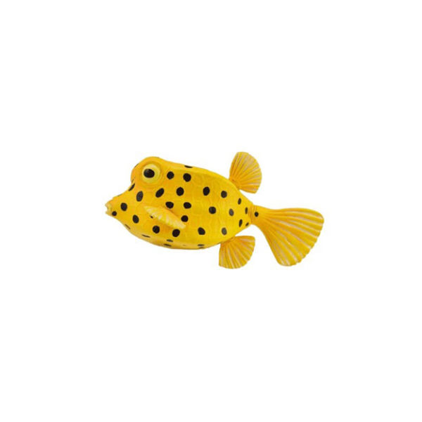 Κίτρινο Ψάρι Κουτί