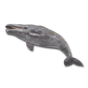 CollectA Γκρίζα Φάλαινα (88836)