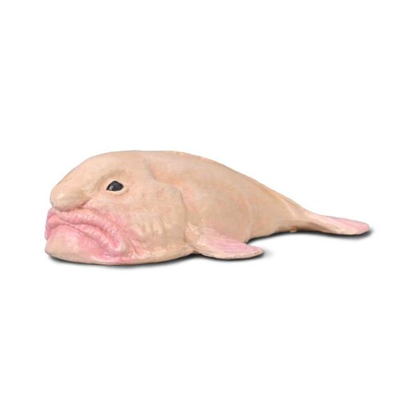 CollectA Ψάρι Ψυχρολούτης (80037)