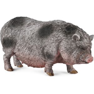 CollectA Γουρούνι Ποτ-μπέλιντ (80067)